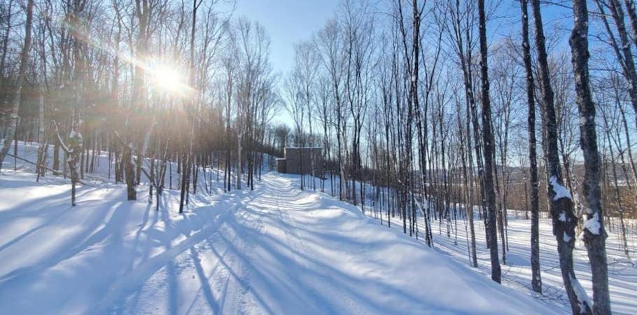 La ConceptionChalet Serenity - Mont Tremblant Ski - Spa Sauna Wifi Tv Privet Chic Modern House别墅 外观 照片