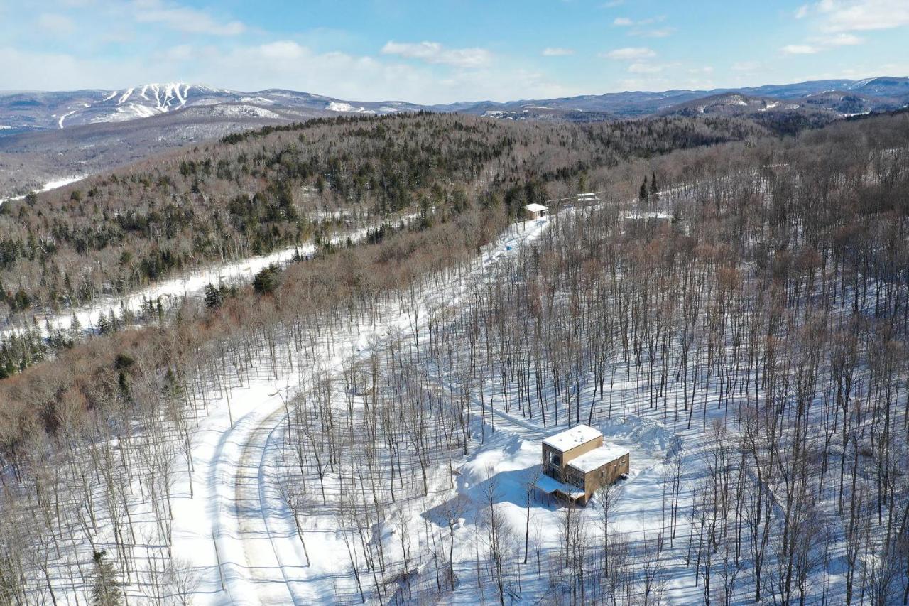 La ConceptionChalet Serenity - Mont Tremblant Ski - Spa Sauna Wifi Tv Privet Chic Modern House别墅 外观 照片