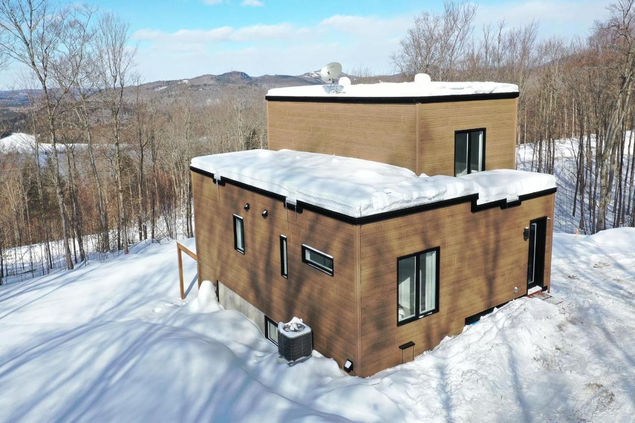 La ConceptionChalet Serenity - Mont Tremblant Ski - Spa Sauna Wifi Tv Privet Chic Modern House别墅 外观 照片